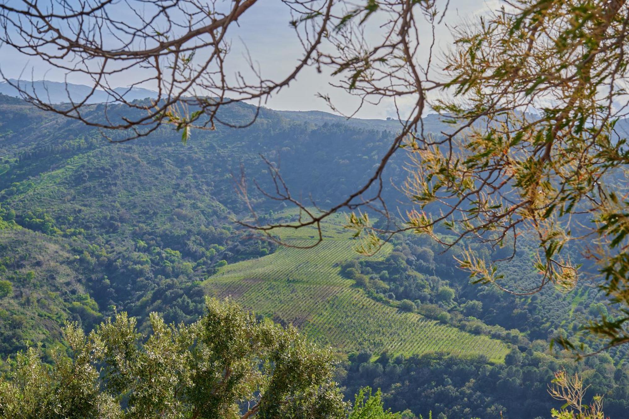 Tenuta Luogo Marchese Villa Pollina Esterno foto